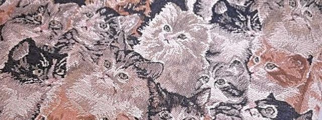 Bonne nuitさんの壁紙画像