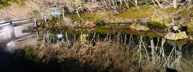 Eia Aao さんの壁紙画像