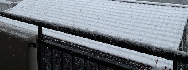 れれ　低浮上さんの壁紙画像