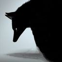 ???(相澤暴走時の式神の一匹)