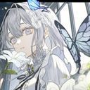 四季 蓮花