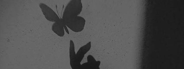 JHHJさんの壁紙画像