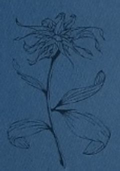 歌い手なりたい方へ