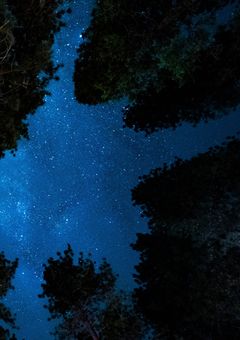 「中原」は捨てました