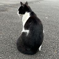 なのさんのアイコン画像