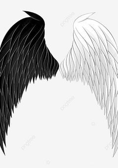 白くて黒い、そんな翼を持ったあなたと、いつかいなくなる私