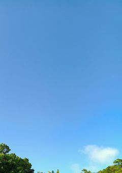アイコン置き場