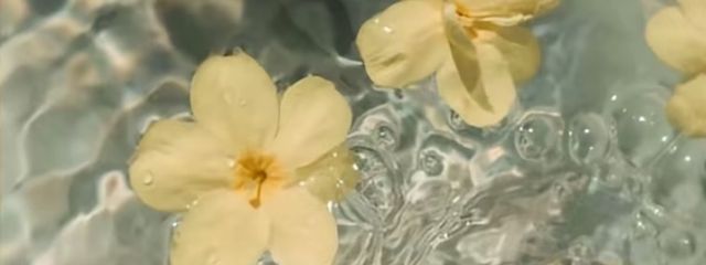 #あほげ  💎 ☁️ # さんの壁紙画像