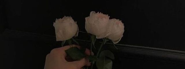 柴さんの壁紙画像