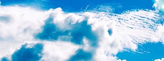 青牡丹さんの壁紙画像