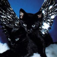 별さんのアイコン画像