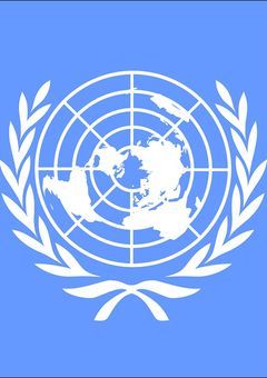 国際連合はこの混沌とした世界で生き抜くようです。