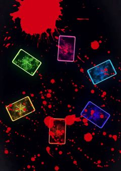 𝕍𝕒𝕟𝕡𝕒𝕚𝕒 𝕂𝕟𝕚𝕘𝕙𝕥. *˚☽ 