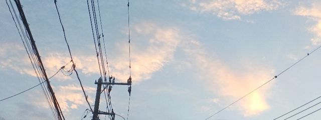 フレッシュのオリーブさんの壁紙画像