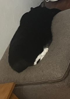 お性癖をただお語りするだけのお部屋にございます。