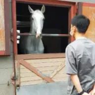 菜々さんのアイコン画像