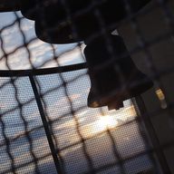 ふふふさんのアイコン画像