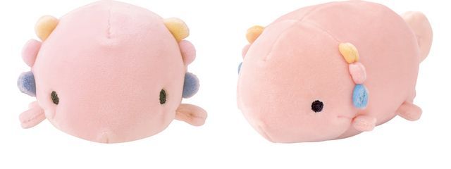 しいかちゃんさんの壁紙画像