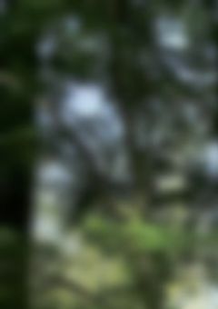 男と勘違いされる幹部