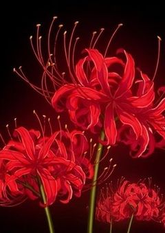 平安時代の鬼さん現代に来てしまう？