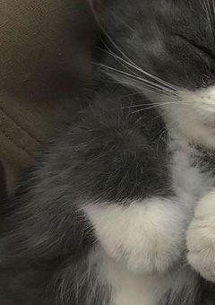 ばぶとのわーる