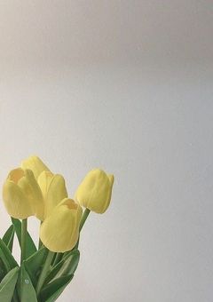 短編集な気がする