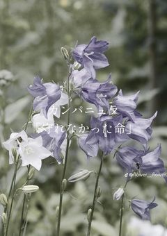 多重人格 ,