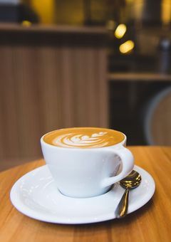 カフェ店長だから異能使う気ありません《文スト》