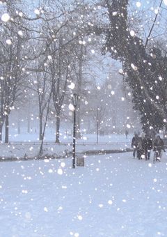 西風騎士団の双子【原神】