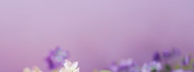 DoZuu💋さんの壁紙画像