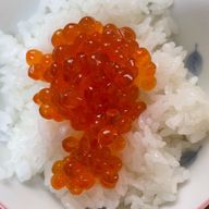 いくら丼さんのアイコン画像