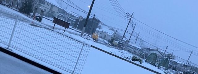 🎼💗🌸さんの壁紙画像