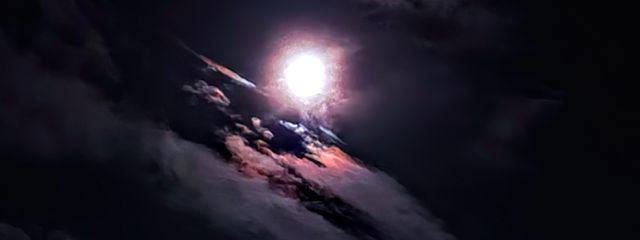 しいらさんの壁紙画像