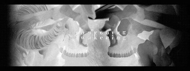 Null:0 _☠️🥀（骸骨薔薇）さんの壁紙画像