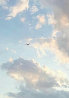 ○○家の5姉妹は不良に惚れられやすいらしい