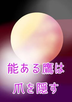 能ある鷹は爪を隠す
