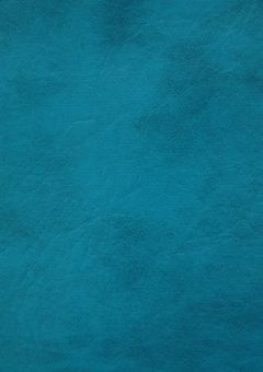 "生きる"意味ってあるの ？【青組💎💙】