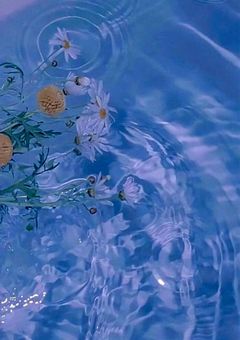 ツンデレな幼馴染みは 【💙💎】