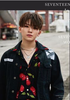 私はSEVENTEENの姉貴