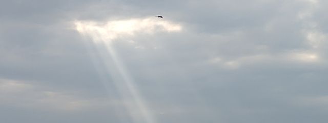 春風 さんの壁紙画像