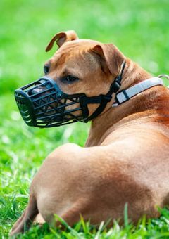 嫌い。嫌い。嫌い！