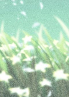 常世の夢