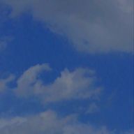 はるさんのアイコン画像