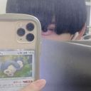 神路 蘇嵐