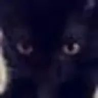 D.D（ドリーミー刑事）さんのアイコン画像