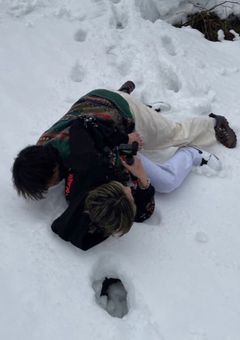 daily’s  - ymt × yt -