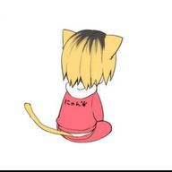 あおさんのアイコン画像