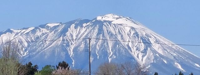 ネコさんの壁紙画像