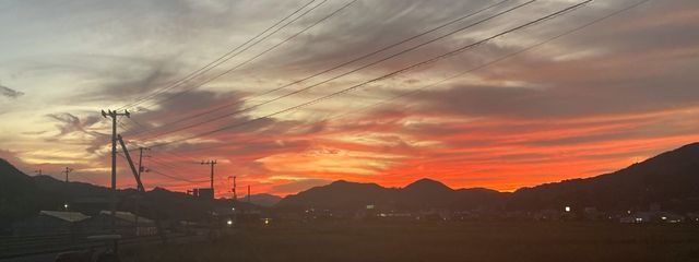 tyuruさんの壁紙画像