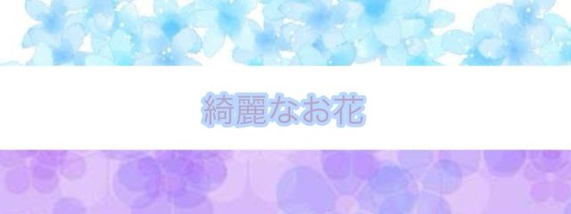 綺麗なお花さんの壁紙画像